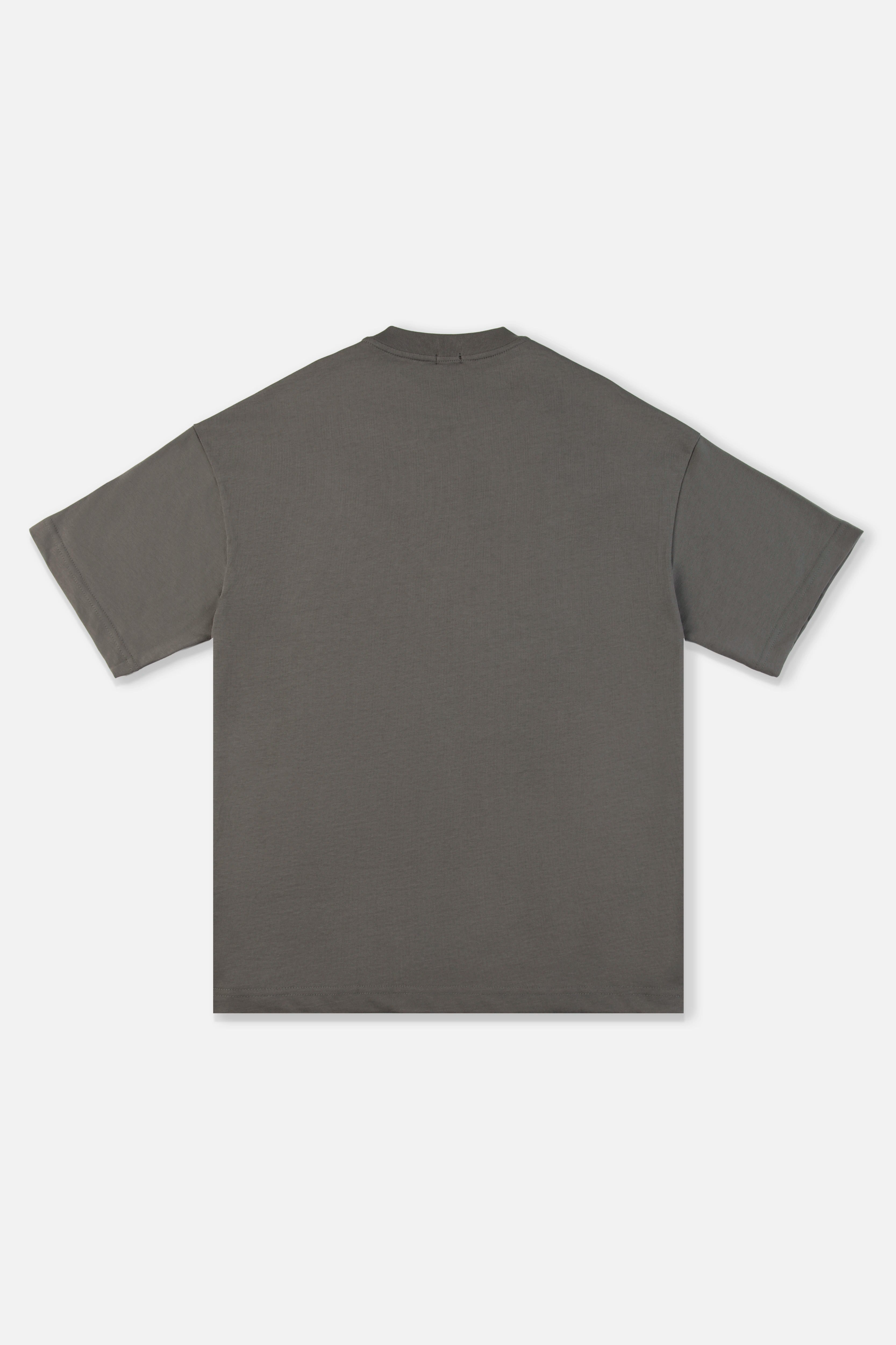 CAMISETA MANGA CORTA COLOR PEWTER