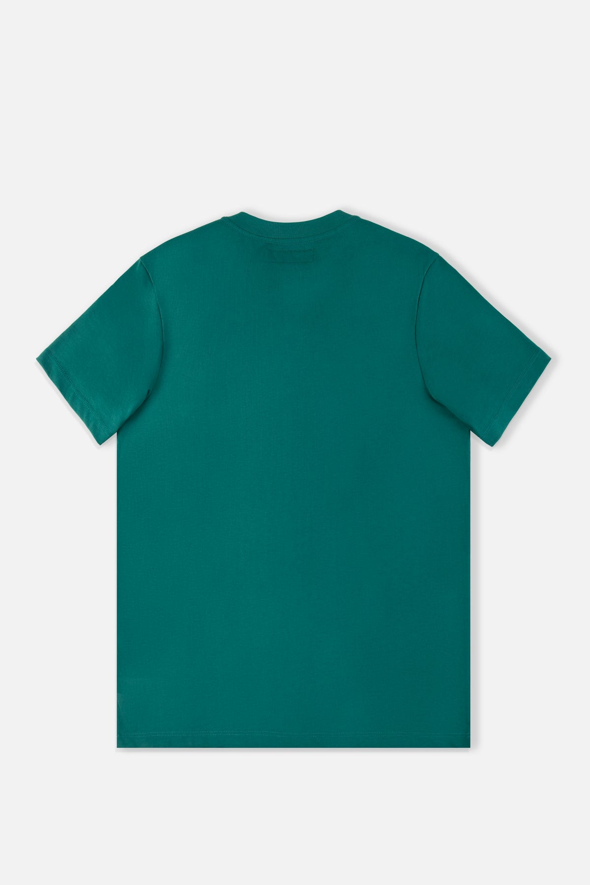 CAMISETA ESPECIAL ESTAMPADO LOCALIZADO COLOR VERDE TEAL