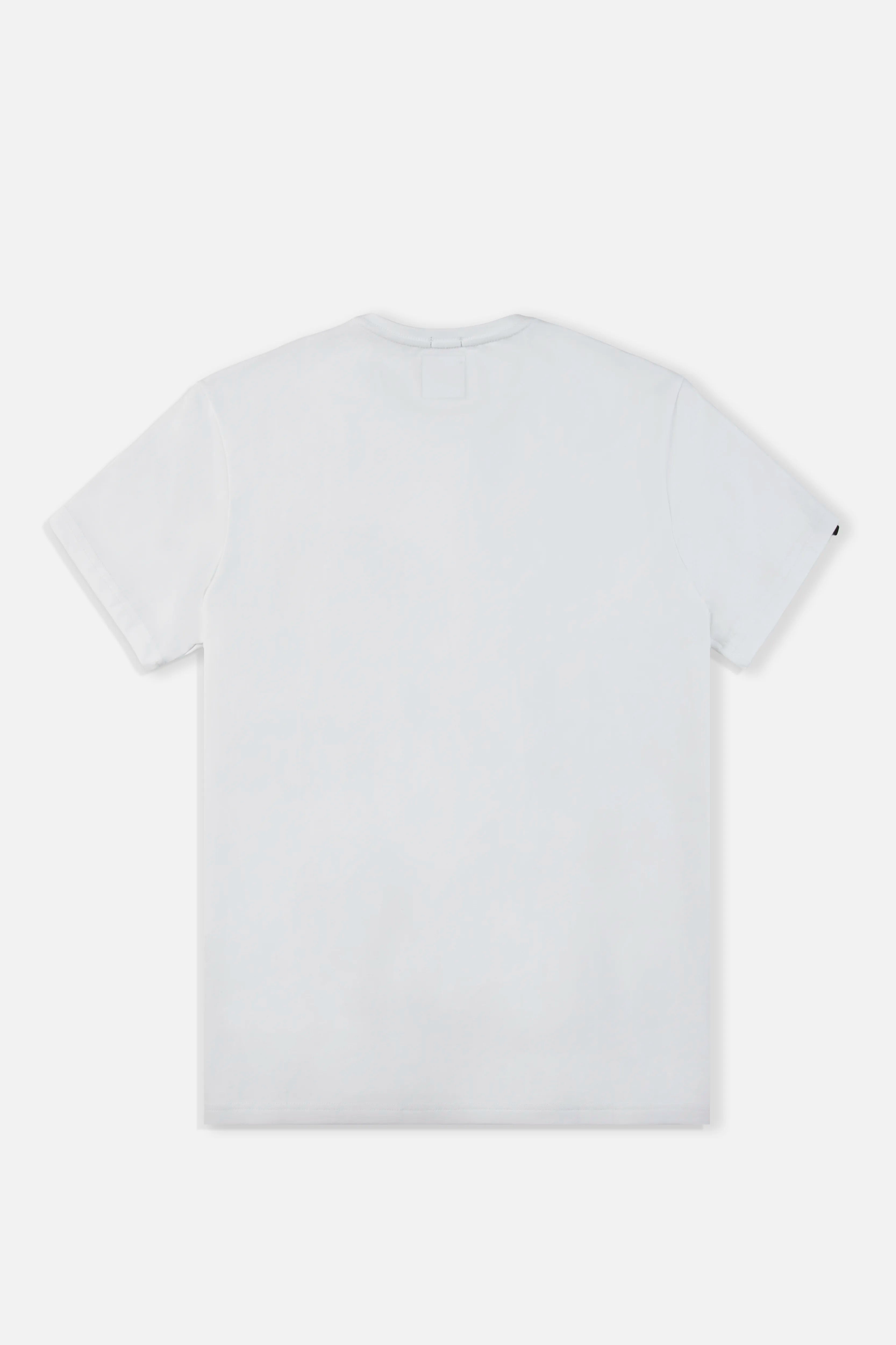 CAMISETA ESPECIAL UNICOLOR COLOR BLANCO