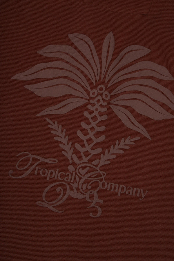 CAMISA MANGA CORTA COLOR BRUNETTE