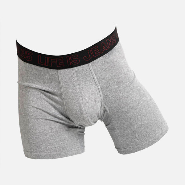 ROPA INTERIOR BOXER COLOR GRIS CLR