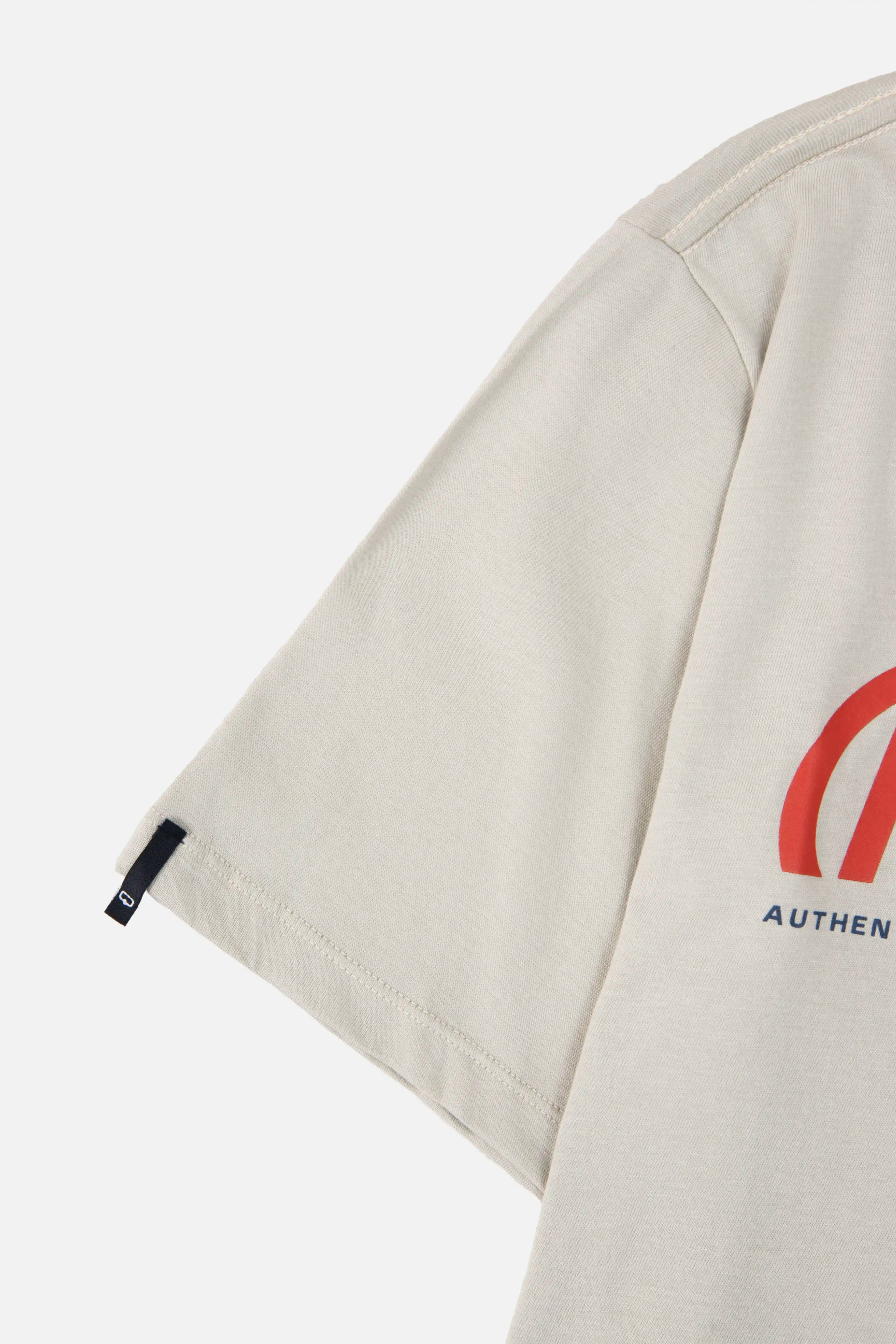 CAMISETA ESPECIAL ESTAMPADO LOCALIZADO COLOR WHITECAP GRAY